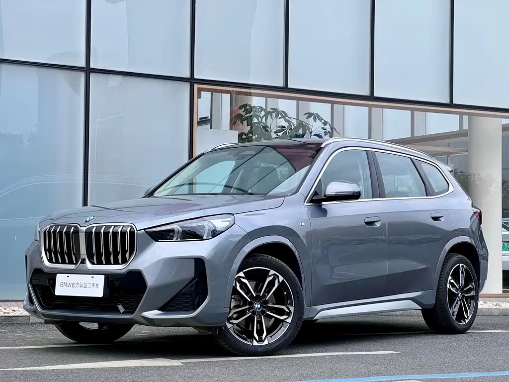 Аукционный лист BMW X1 2024