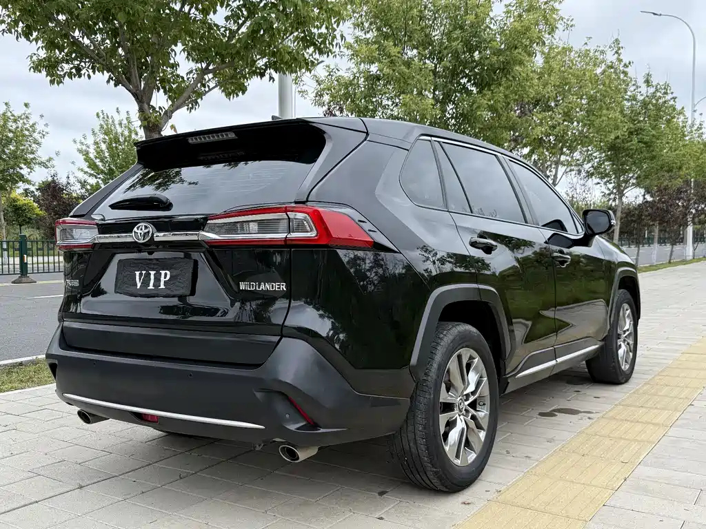 TOYOTA WILDLANDER 2022