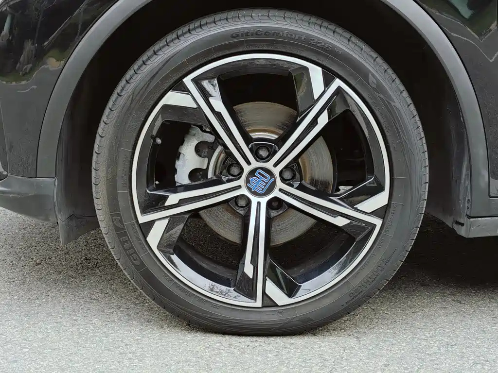 BYD TANG NEW ENERGY 2021