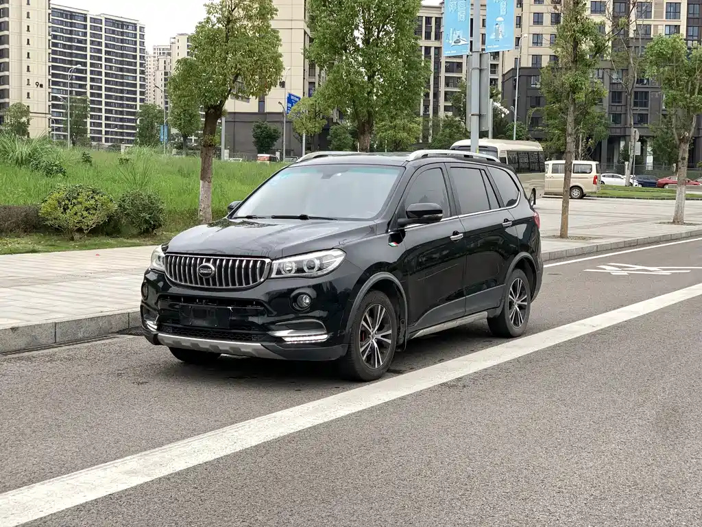 Аукционный лист SWM X7 2017