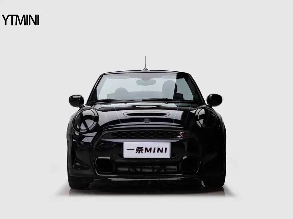 MINI OTHER 2022