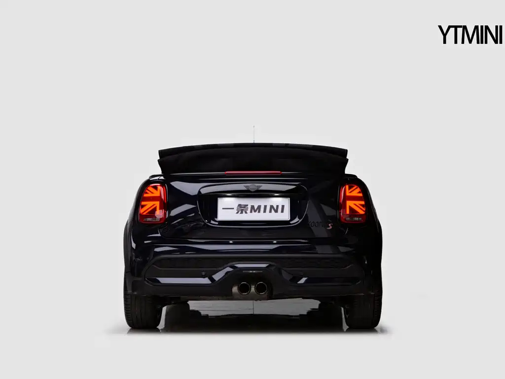 MINI OTHER 2022