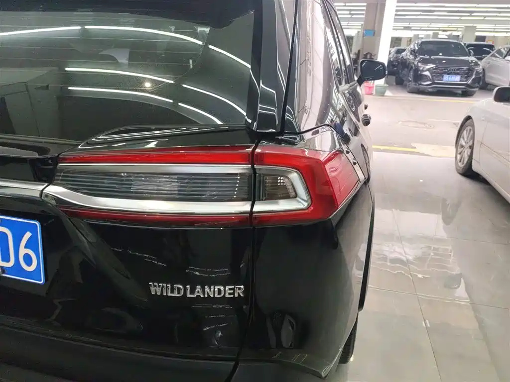 TOYOTA WILDLANDER 2022