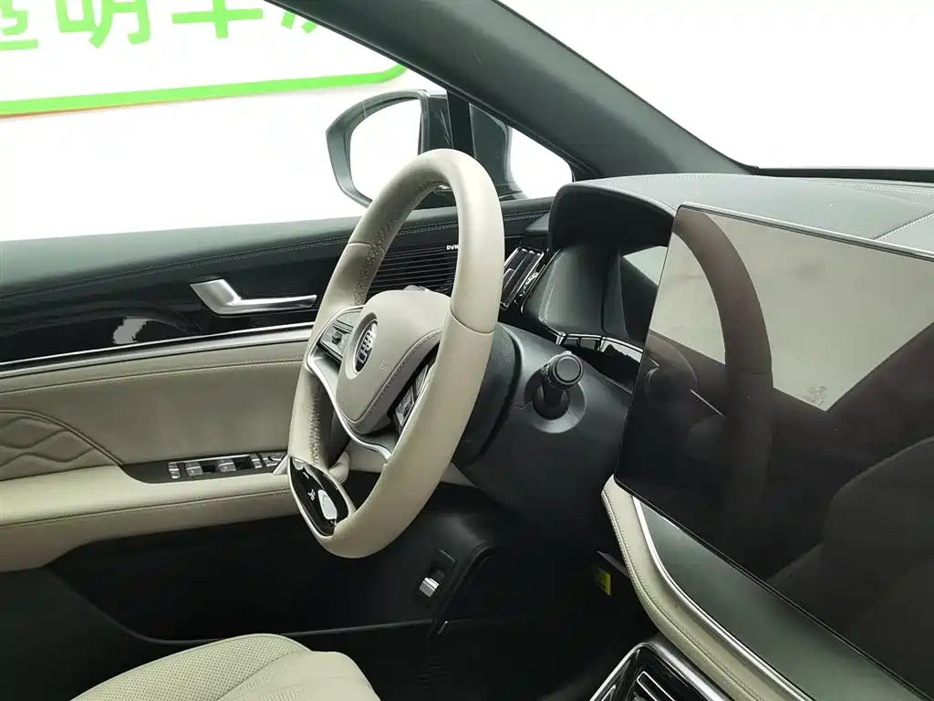 BYD TANG NEW ENERGY 2024