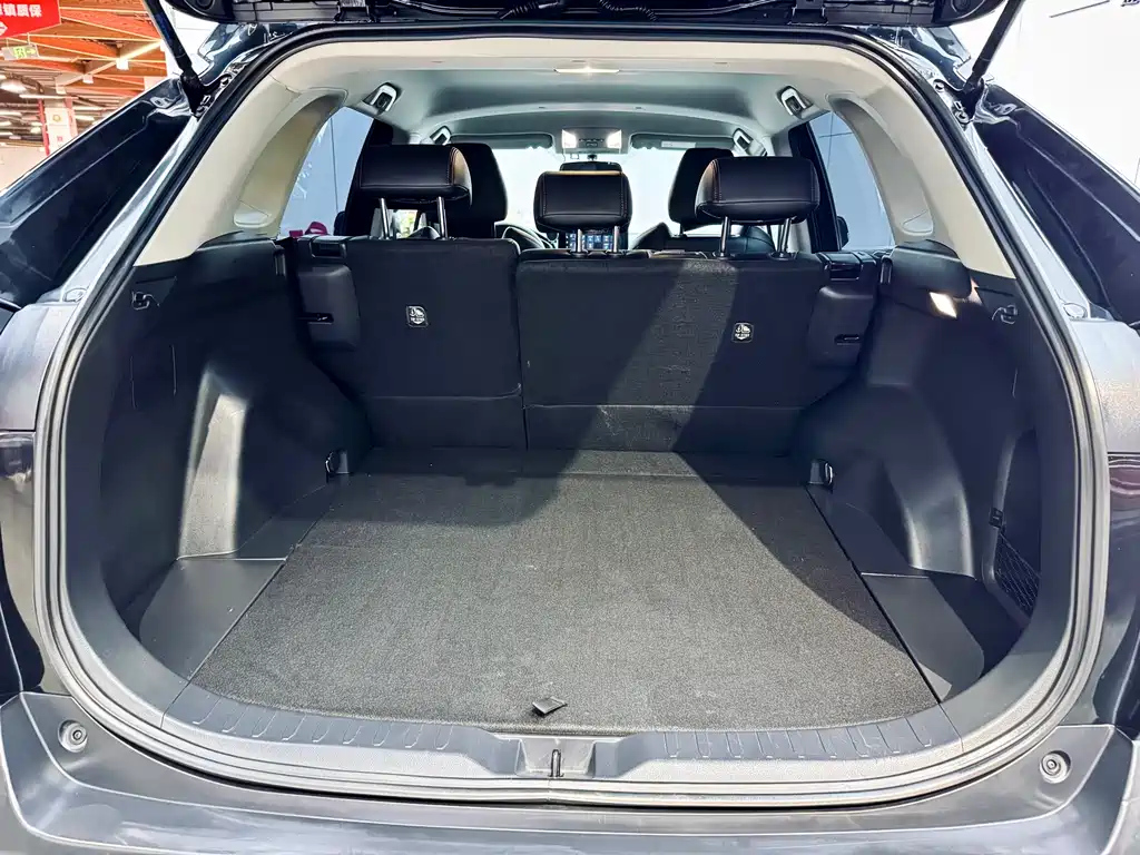 TOYOTA WILDLANDER 2023