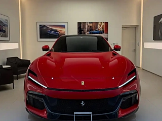 Заказать FERRARI PUROSANGUE