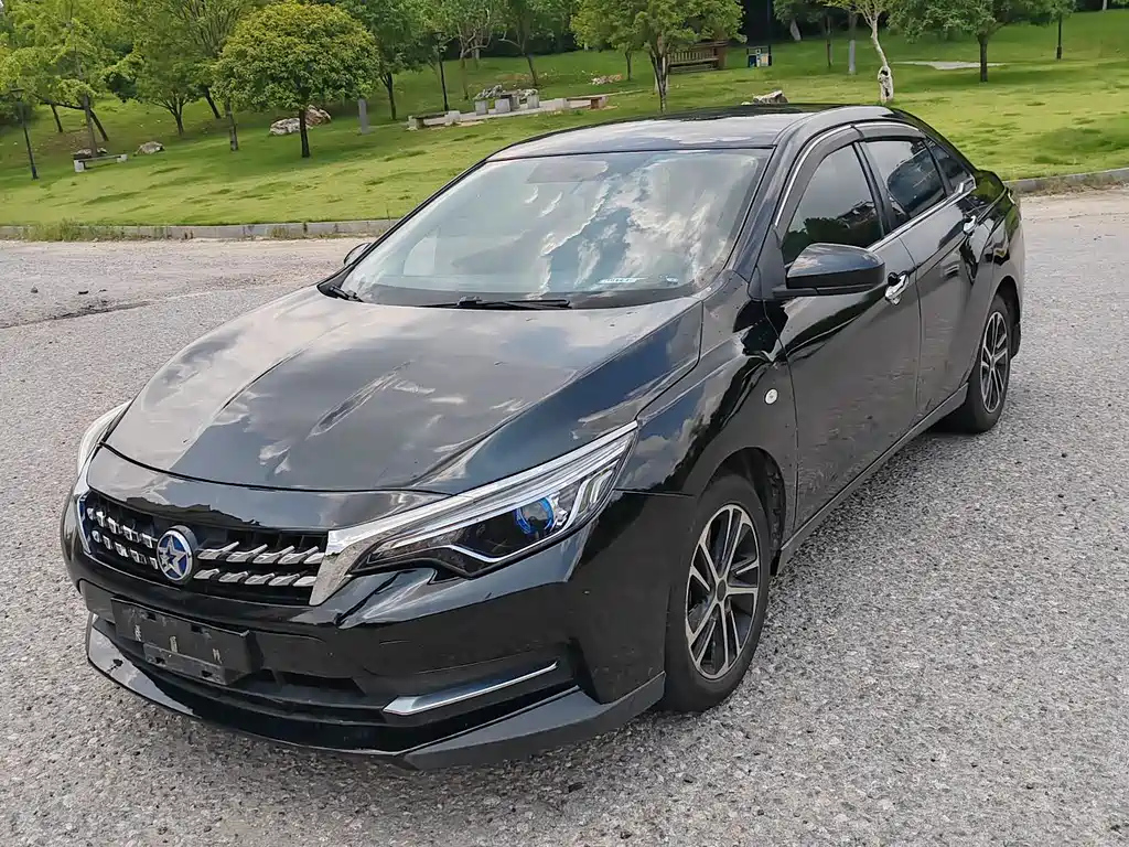 Аукционный лист VENUCIA D60 2019