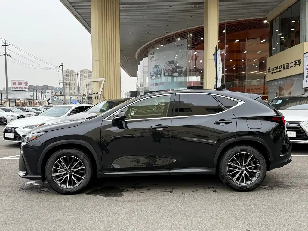 LEXUS NX 2023
