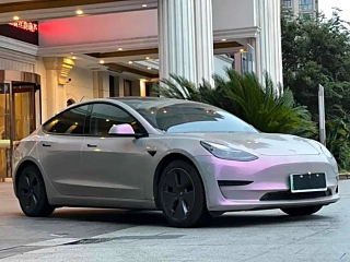TESLA MODEL 3  2021 YEAR STANDARD RANGE &#21518;&#39537; UPGRADED EDITION 2021