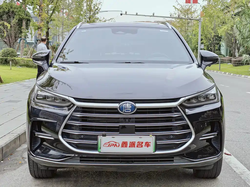 BYD TANG NEW ENERGY 2021