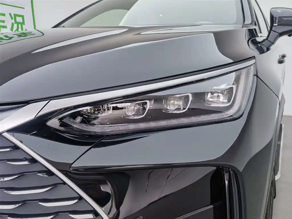 BYD TANG NEW ENERGY 2024