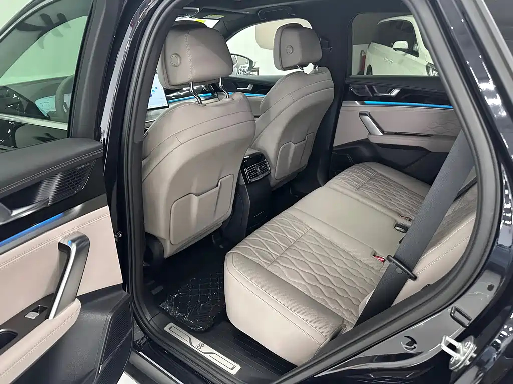 BYD TANG NEW ENERGY 2025