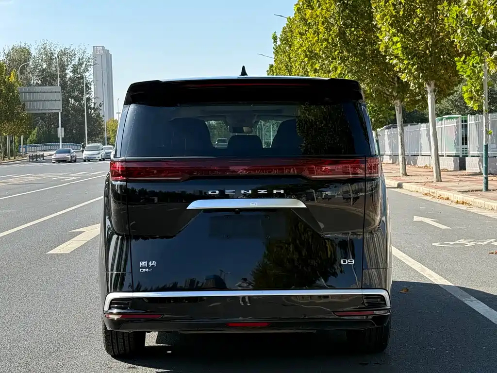 DENZA D9 2023