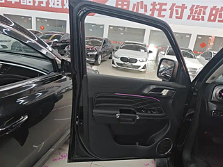 TANK 300  2024 YEAR 2.0T 2024