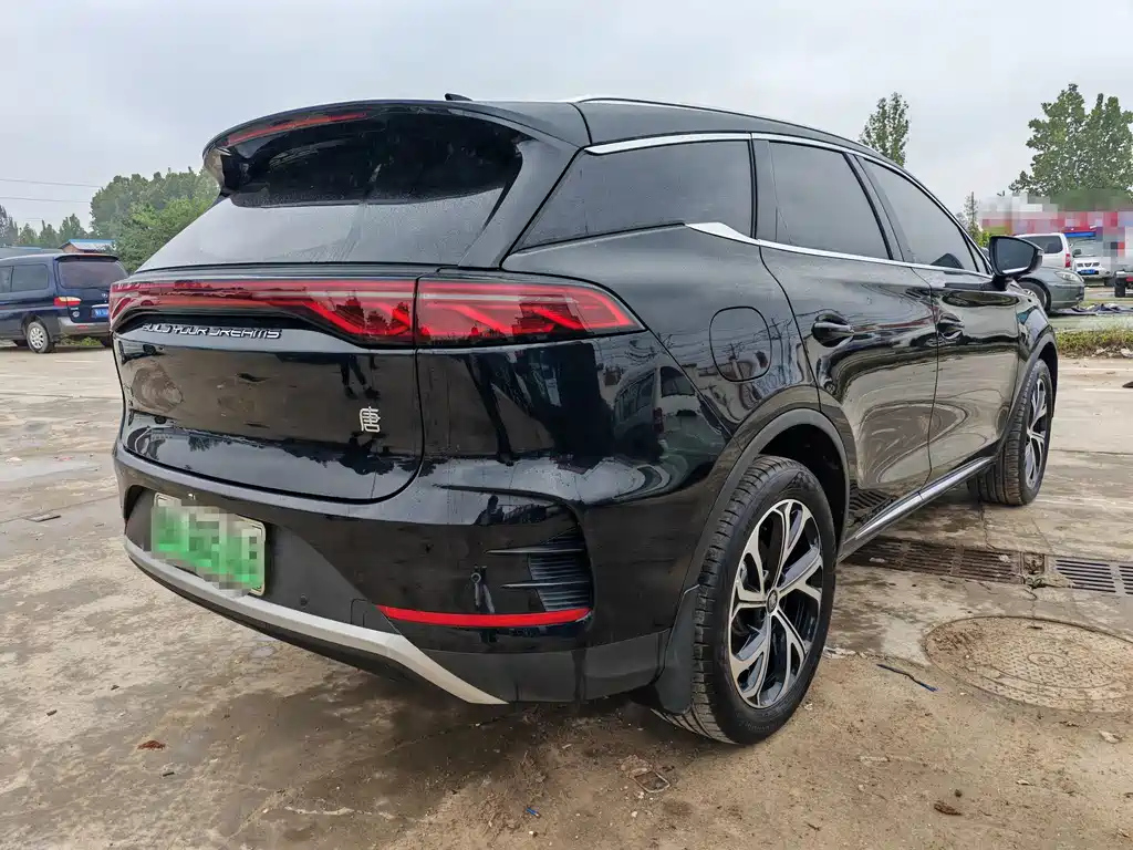 BYD TANG NEW ENERGY 2025
