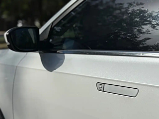 WELTMEISTER EX5 2019 YEAR EX5 LITE EDITION 520 2019