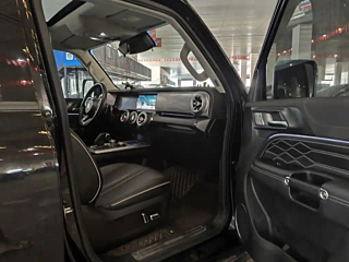 TANK 300  2021 YEAR  EDITION 2.0T 2021