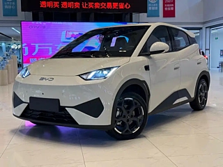 BYD SEAGULL  2025 YEAR SMART DRIVE EDITION 405KM  EDITION 2025