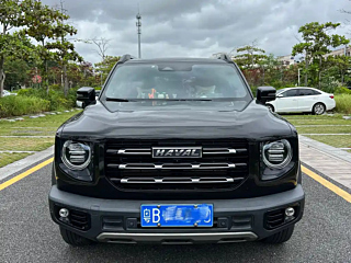 HAVAL BIG DOG 2022