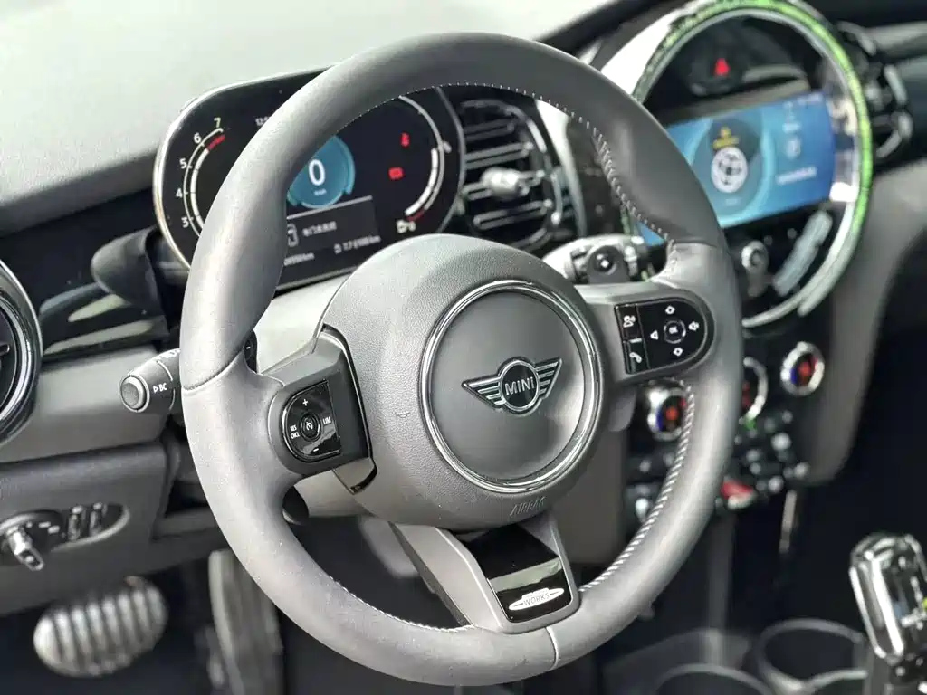 MINI OTHER 2024