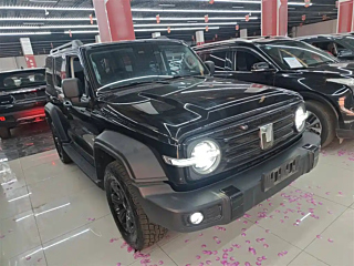 TANK 300  2024 YEAR 2.0T 2024