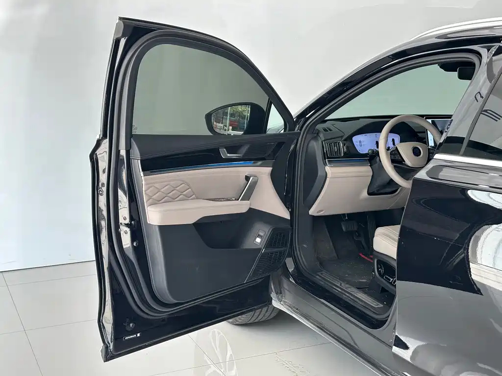 BYD TANG NEW ENERGY 2025