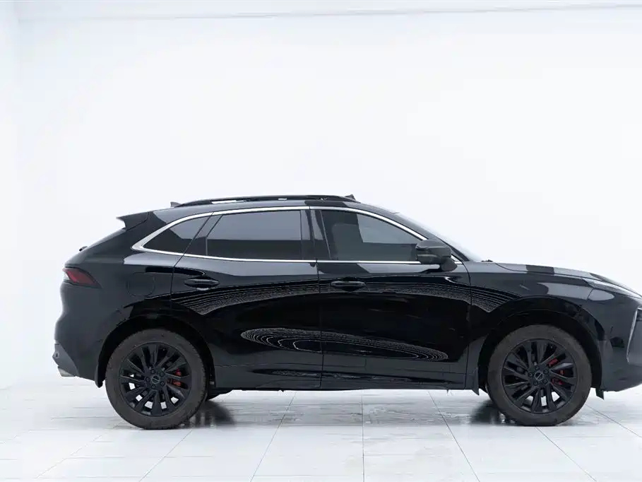 DONGFENG FORTHING T5 EVO 2021