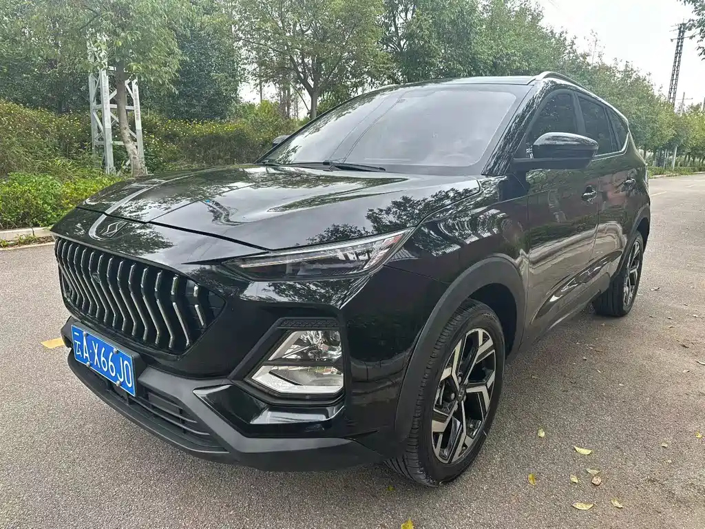 Аукционный лист SOL X8 2020