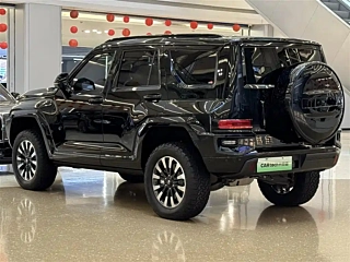 TANK 700 NEW ENERGY  2024 YEAR HI4-T &#26497;&#22659; EDITION 2024