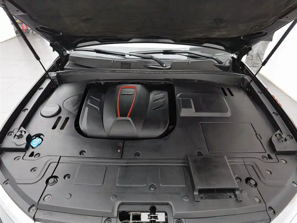 ZOTYE BIG 迈X7 2017
