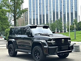 TANK 300  2021 YEAR  EDITION 2.0T 2021