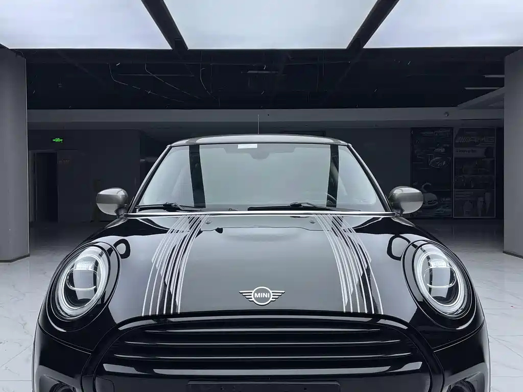 MINI OTHER 2021
