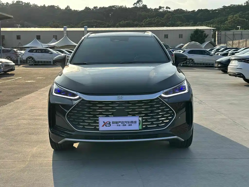BYD TANG NEW ENERGY 2024