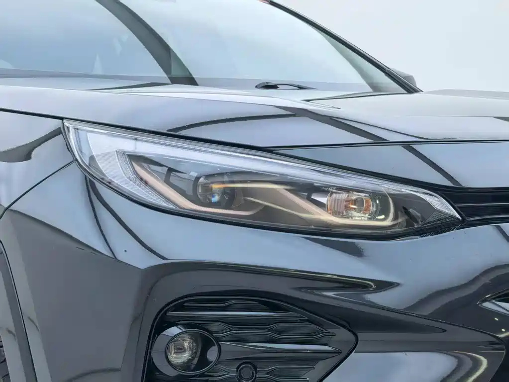 TOYOTA WILDLANDER 2024