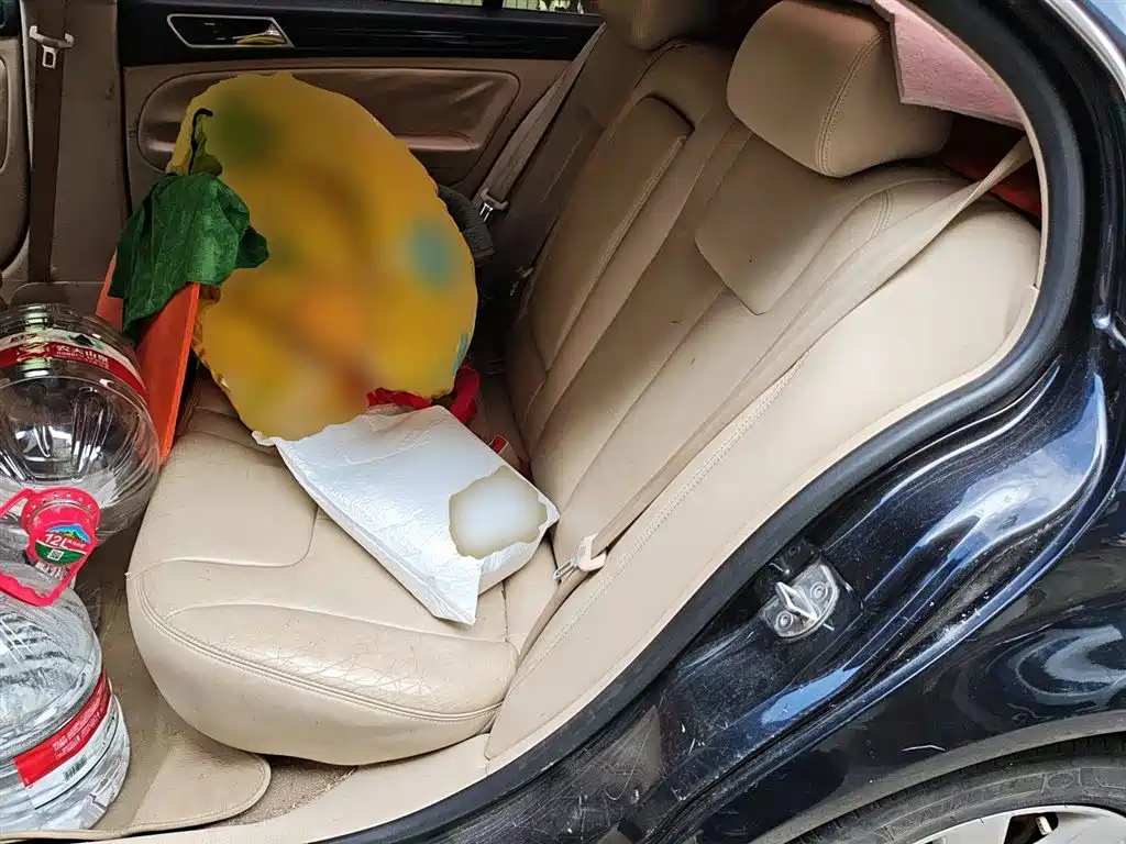 VOLKSWAGEN PASSAT LINGYU 2011