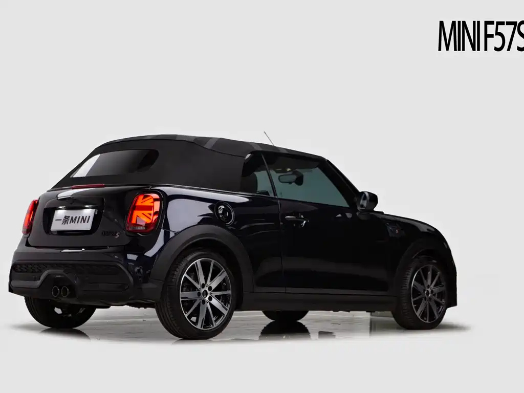MINI OTHER 2022