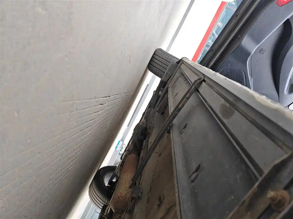 DONGFENG SCENERY 580 2020