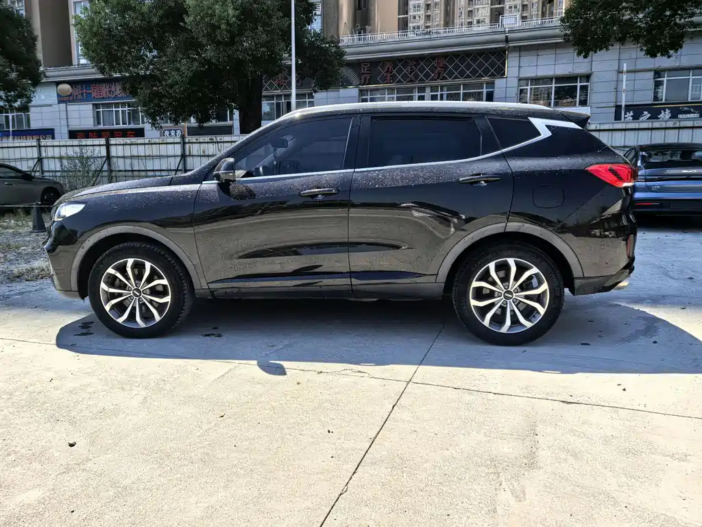 WEY VV6 2020
