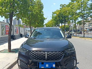 WEY VV6 2019