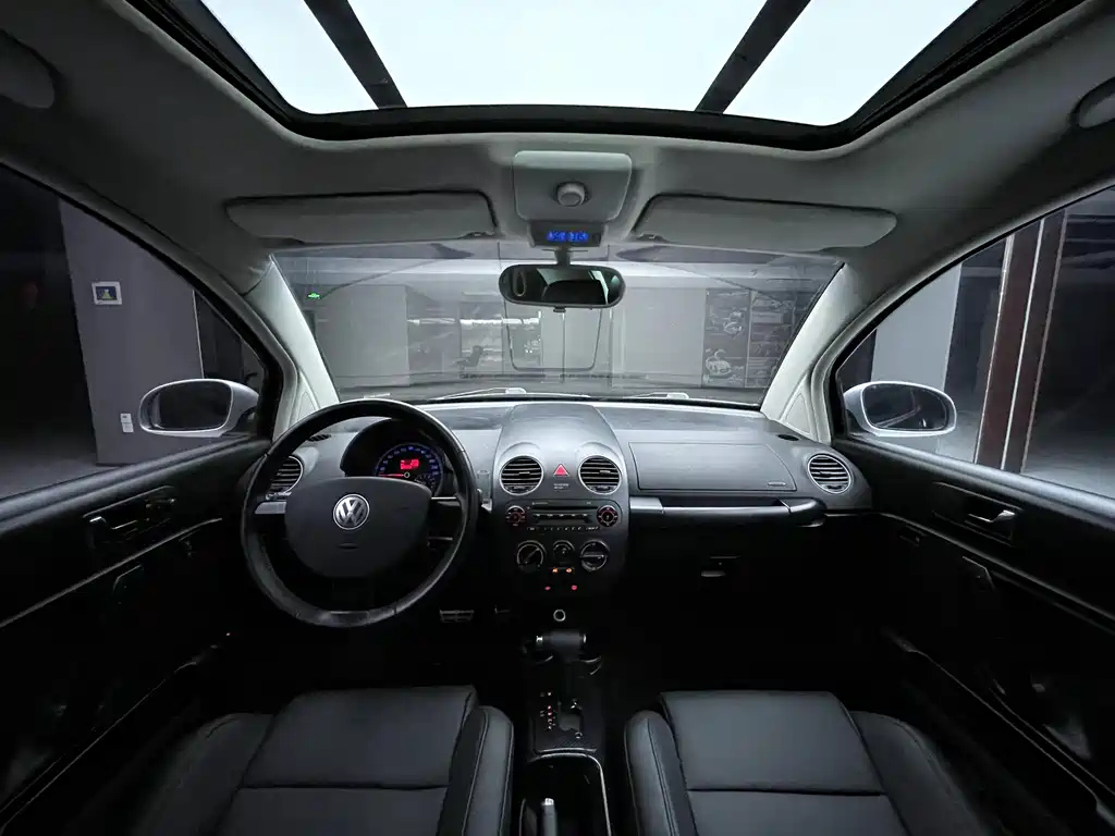 VOLKSWAGEN BEETLE 2010