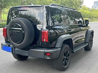 TANK 300 2021 YEAR EDITION 2.0T 2021