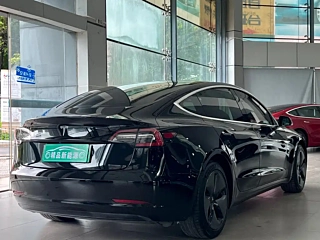 TESLA MODEL 3 IMPORT  2019 YEAR &#38271; RANGE &#21518;&#39537; EDITION 2019
