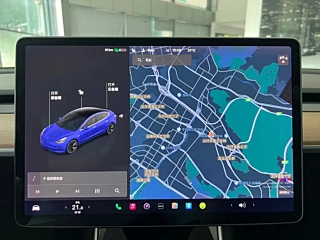TESLA MODEL 3 IMPORT  2019 YEAR &#38271; RANGE &#21518;&#39537; EDITION 2019