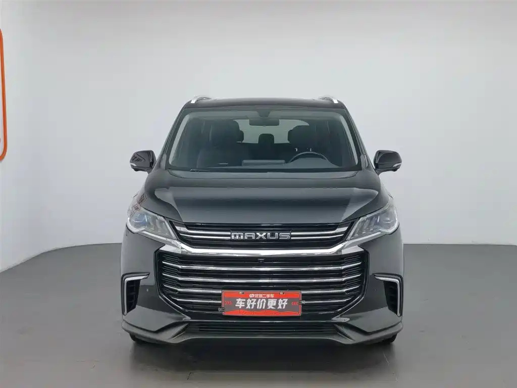 MAXUS OTHER 2019