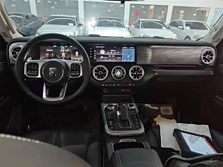 TANK 300  2024 YEAR 2.0T 2024