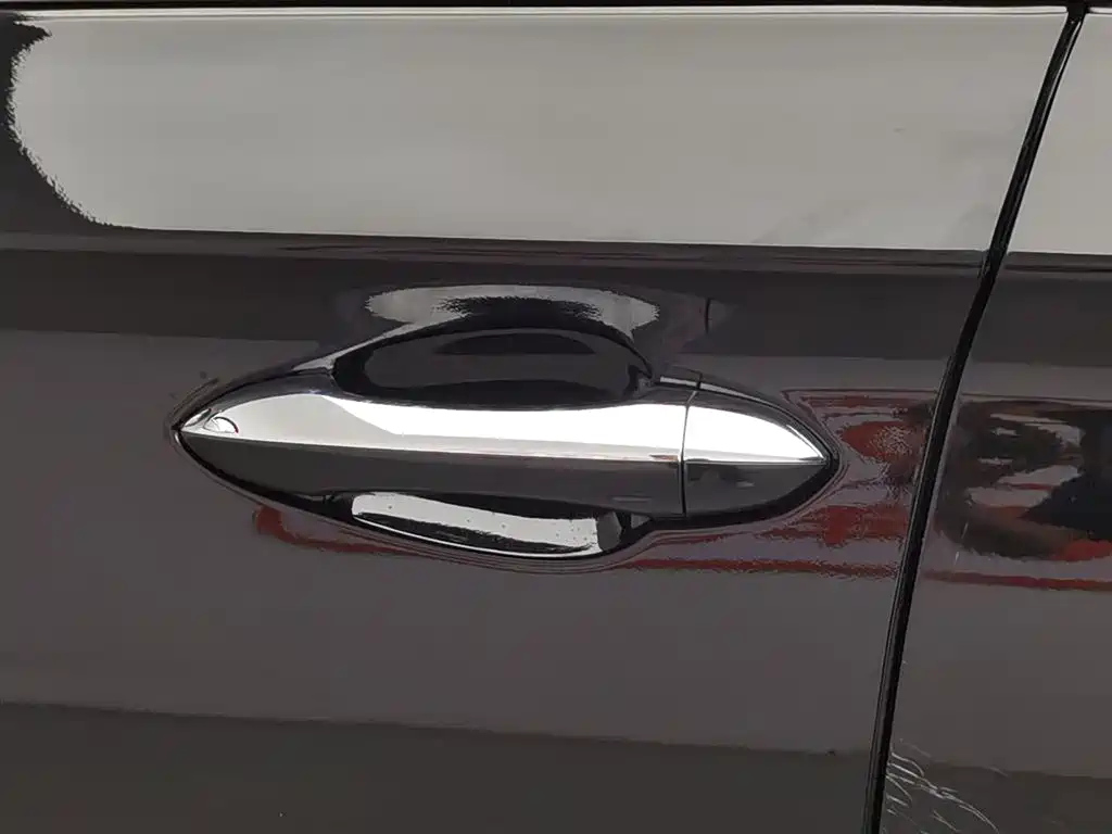 LEOPAARD MATTU 2018