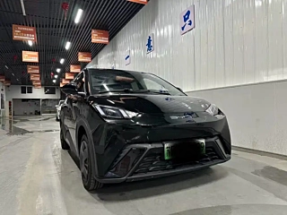 BYD SEAGULL  2023