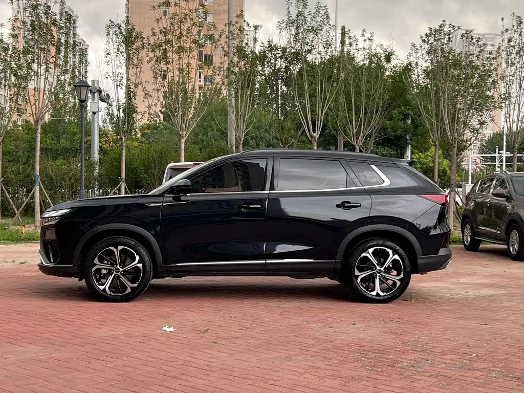 DONGFENG OTHER 2022