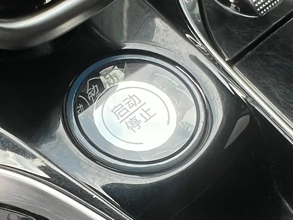 BYD TANG NEW ENERGY 2021