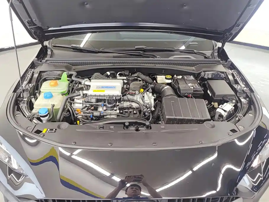 TRUMPCHI EMPOW 2024